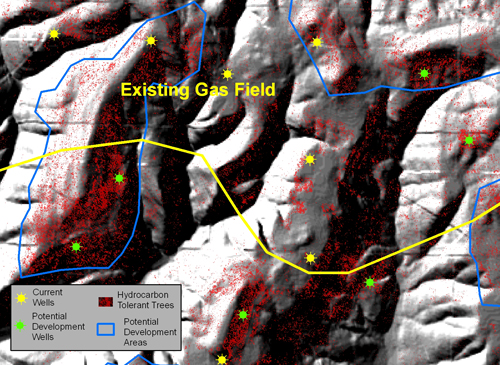 Hyperspectral Analysis